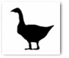 Chocolate Goose